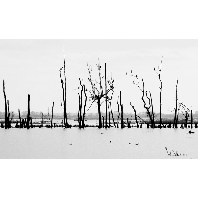 Schwarzweiss Landschaftsfotografien Kunstkapelle Remplin