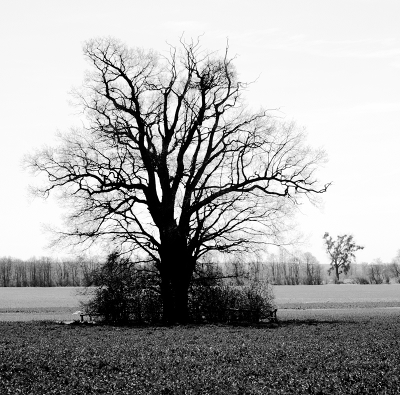 Schwarzweiss Landschaftsfotografien Kunstkapelle Remplin