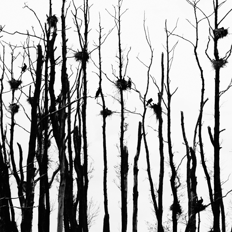 Schwarzweiss Landschaftsfotografien Kunstkapelle Remplin