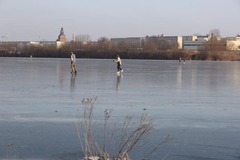 Malchiner Winter 2011