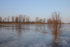 Malchiner Winter 2011