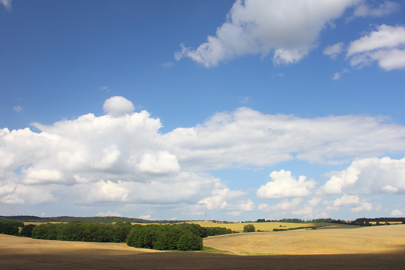 Sommerblick Mecklenburgische Schweiz