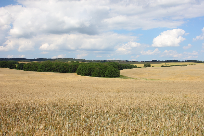 Mecklenburgische Schweiz