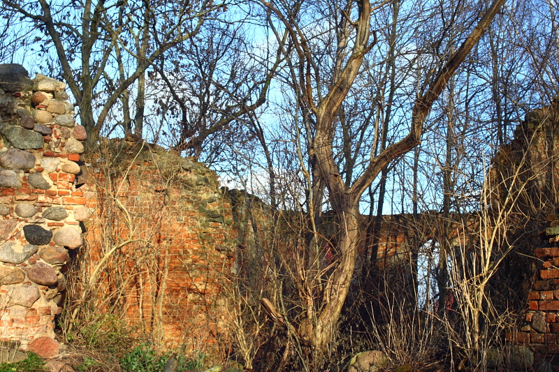 Kirchruine Alt Panstorf