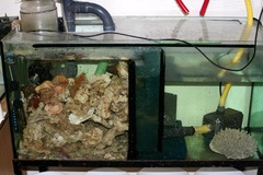 Meeresaquarium Filteranlage