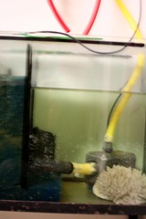 Meeresaquarium Filteranlage