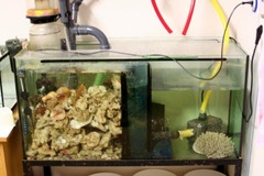 Meeresaquarium Filteranlage