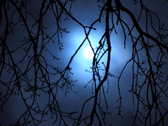 Mond Nacht