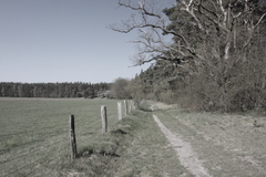 M�ritz Nationalpark 