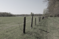 M�ritz Nationalpark 