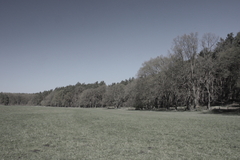 M�ritz Nationalpark 