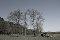 M�ritz Nationalpark 