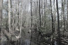 M�ritz Nationalpark 