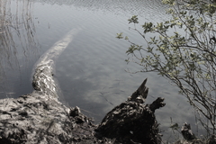 M�ritz Nationalpark 