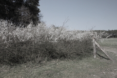 M�ritz Nationalpark 