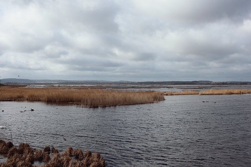 Niedermoore MV Neukalen Aalbude