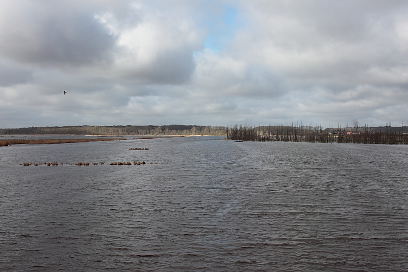 Niedermoore MV Neukalen Aalbude