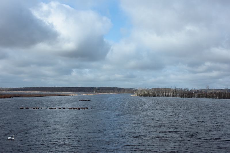 Niedermoore MV Neukalen Aalbude