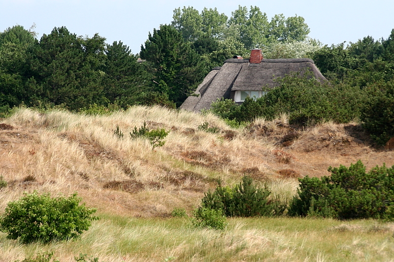 Nordseekueste