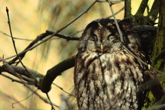 Nup Naturpark Umweltpark