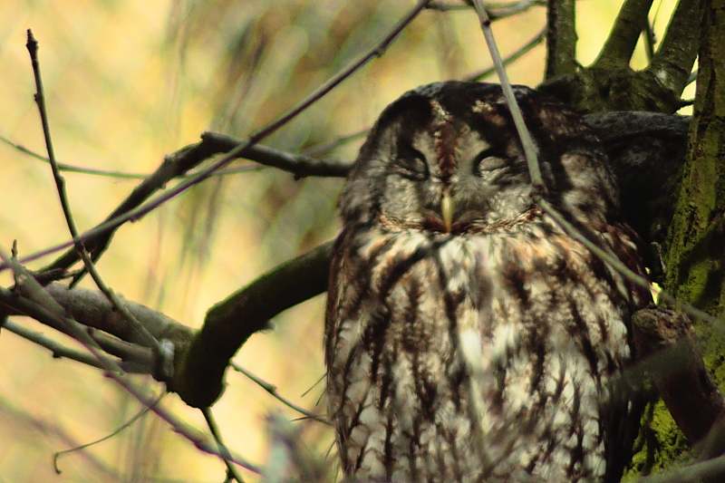 Nup Naturpark Umweltpark