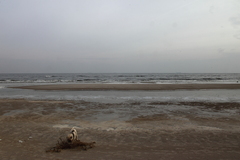 Winter an der ostsee 