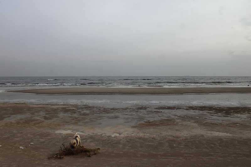 Winter an der ostsee 