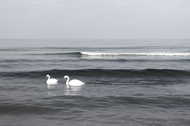 Winter an der ostsee 