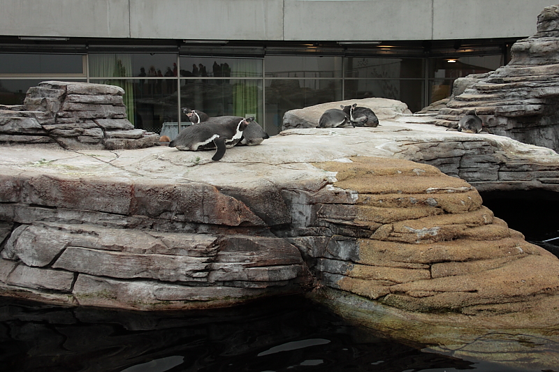 Ozeaneum Stralsund