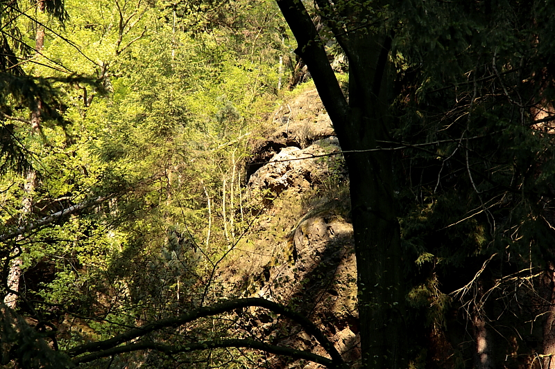 Elbsandsteingebirge Schsische Schweiz