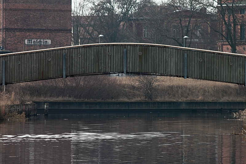 Seehund Jagdrevier - Seehund in Malchin