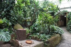 Vogelpark Marlow Ostseekueste