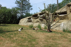 Vogelpark Marlow Ostseekueste