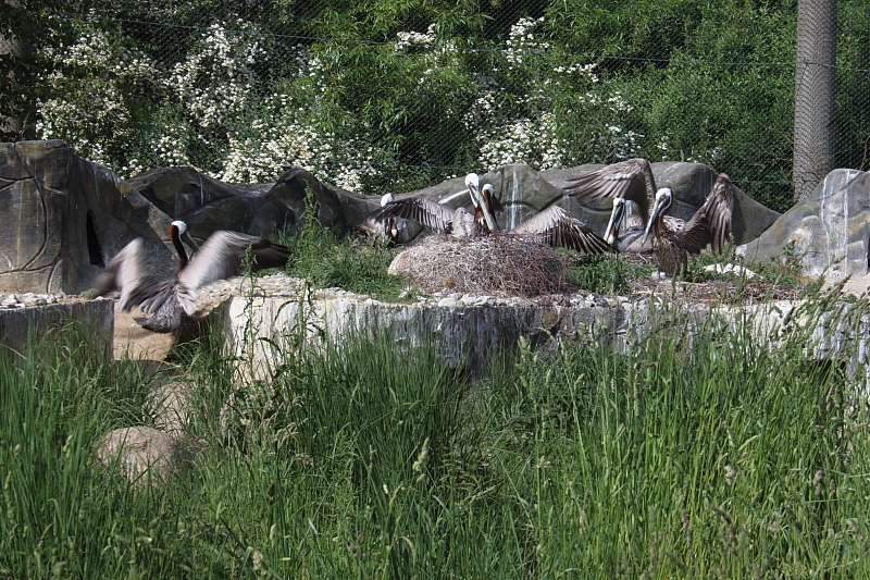 Vogelpark Marlow Ostseekueste