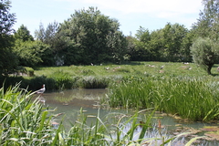 Vogelpark Marlow Ostseekueste