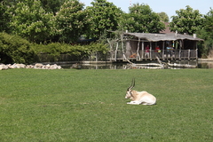 Vogelpark Marlow Ostseekueste