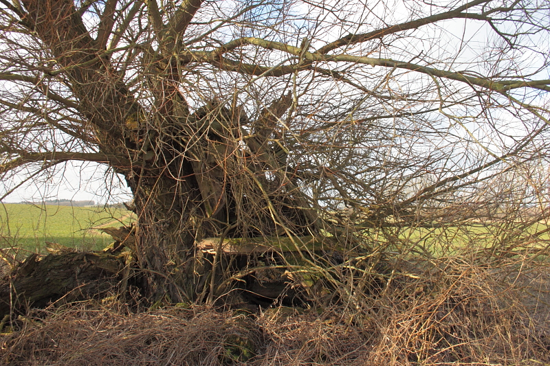 Wanderungen Wandern Fotowanderung