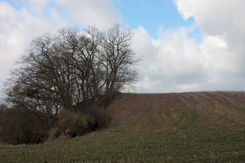 Wanderungen Wandern Fotowanderung