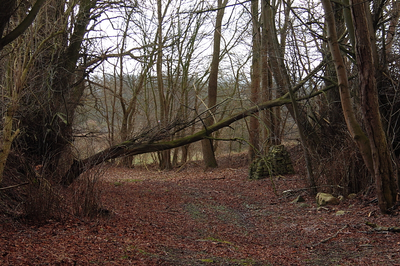 Wanderungen Wandern Fotowanderung