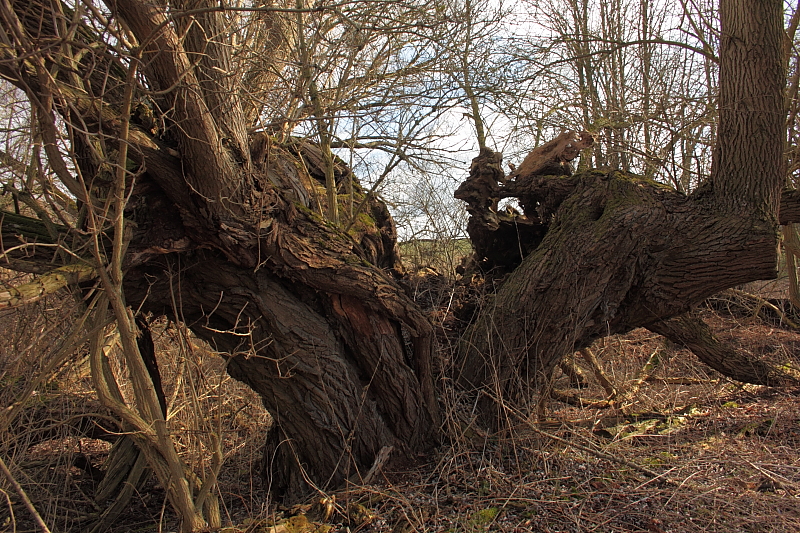 Wanderungen Wandern Fotowanderung