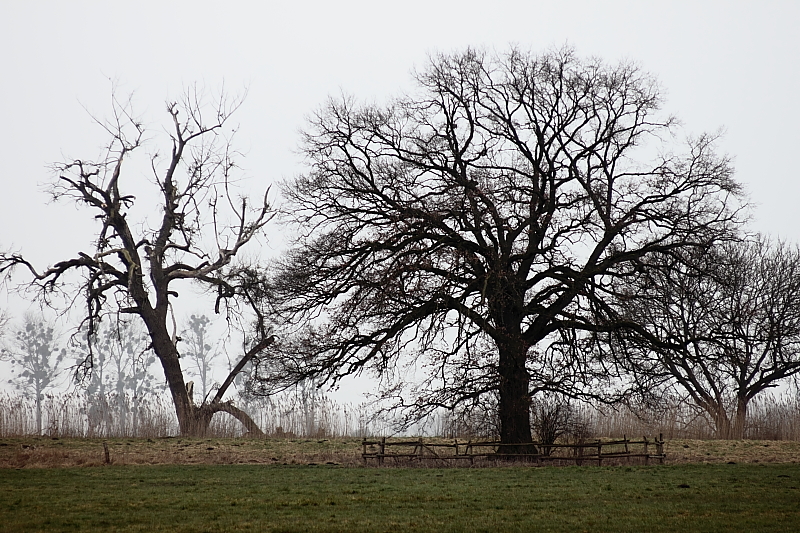 Wanderungen Wandern Fotowanderung