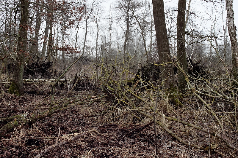 Wanderungen Wandern Fotowanderung