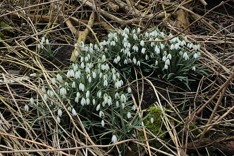 Wanderungen Wandern Fotowanderung