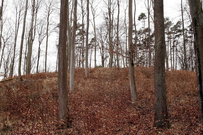 Wanderungen Wandern Fotowanderung