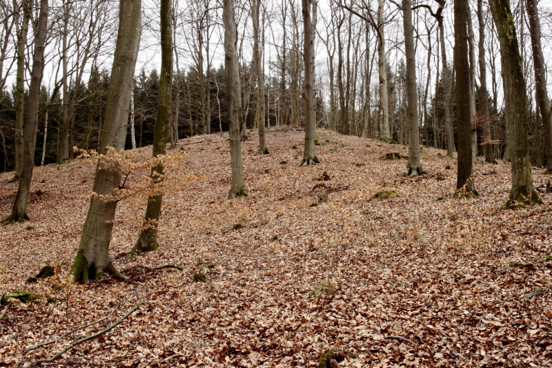Wanderungen Wandern Fotowanderung