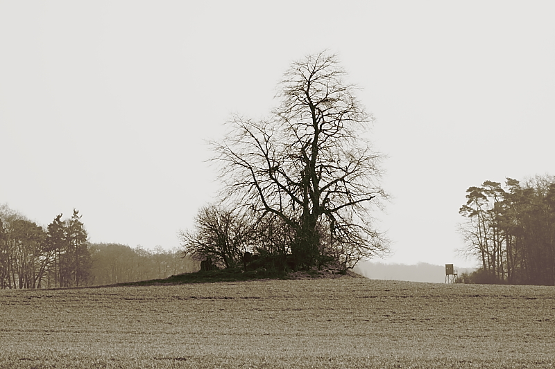 Wanderungen Wandern Fotowanderung