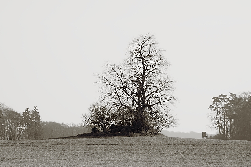 Wanderungen Wandern Fotowanderung