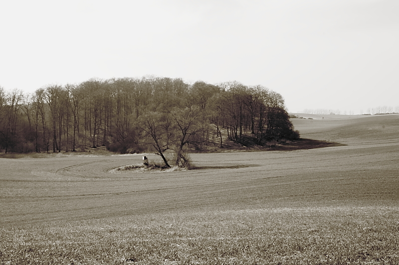 Wanderungen Wandern Fotowanderung