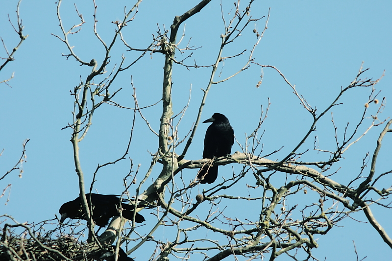 Wanderungen Wandern Fotowanderung