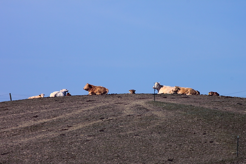 Wanderungen Wandern Fotowanderung